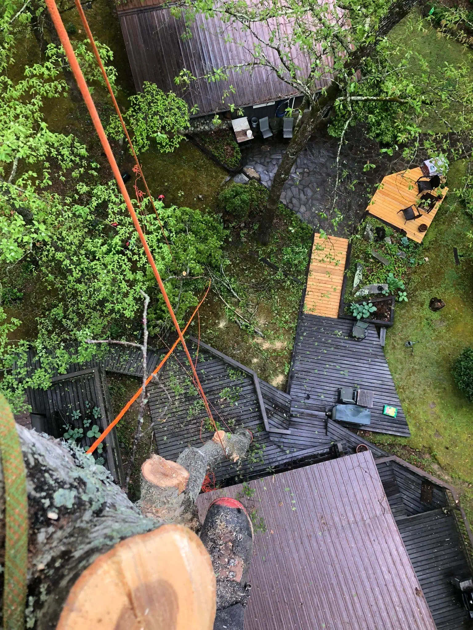 Emergency Tree Removal in North Georgia: What to Do After a Storm