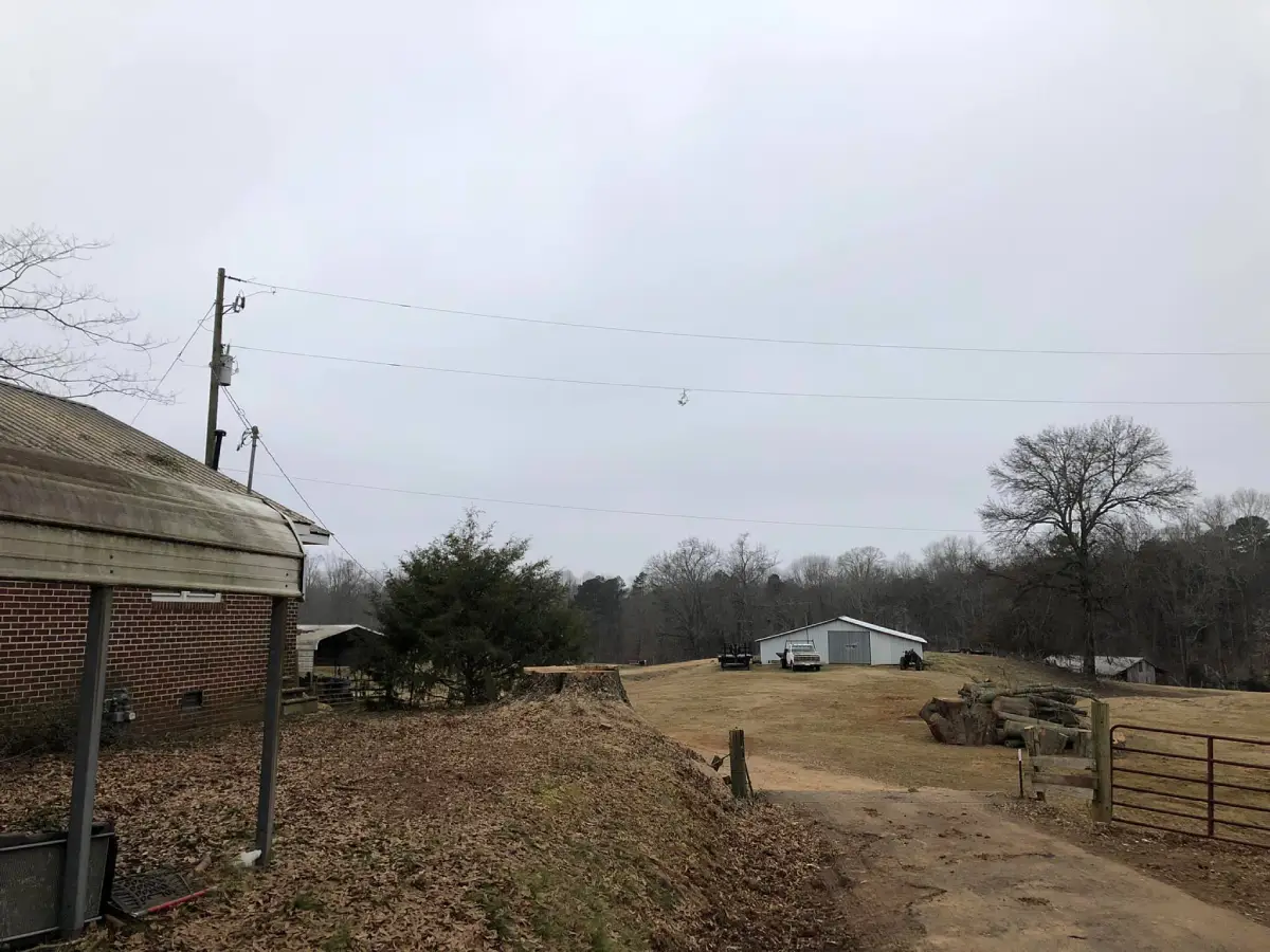Crew performing stump grinding to restore outdoor space in Cumming, GA.