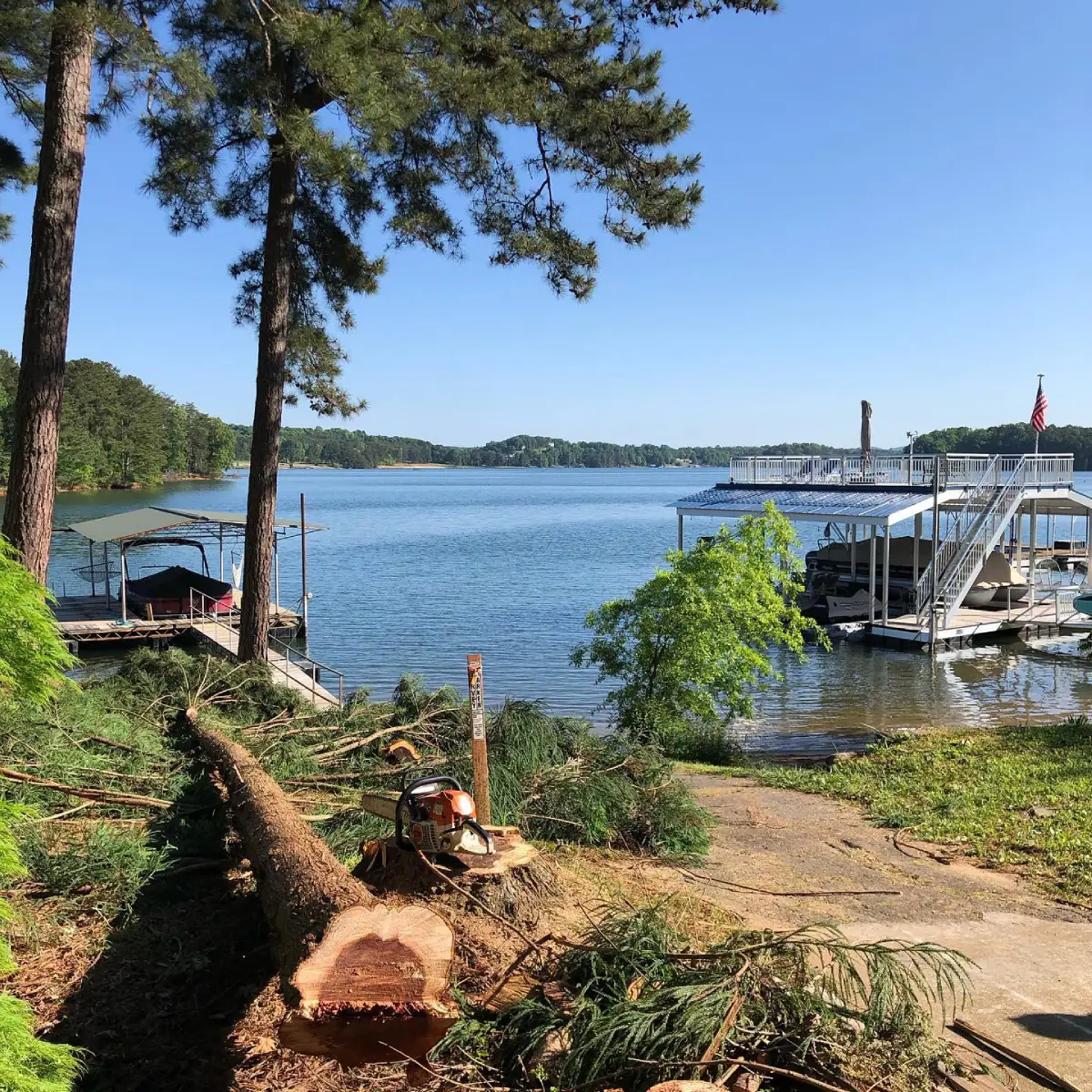 Professional stump grinding service restoring yard after tree removal in Cumming, GA.
