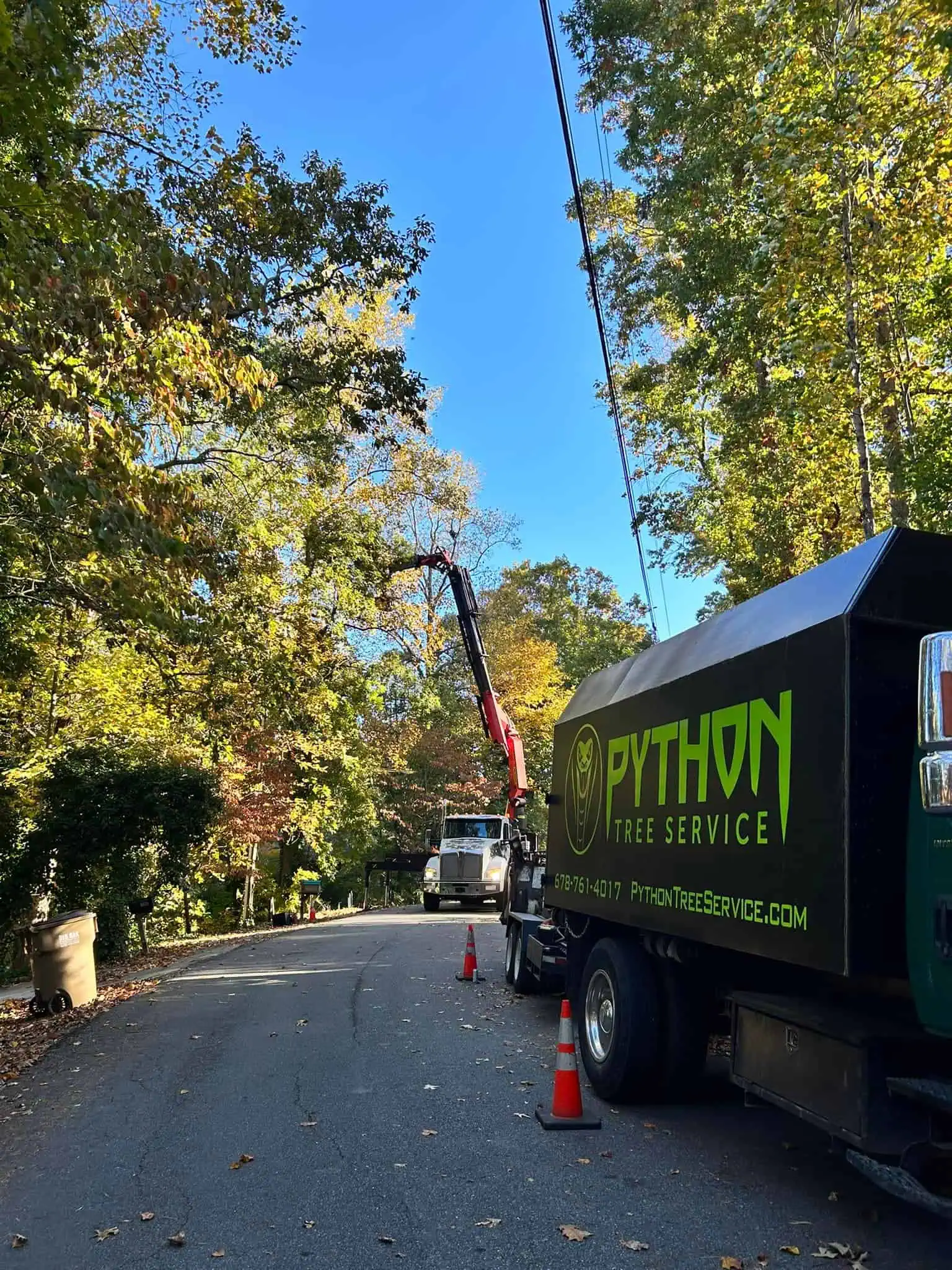 Leading Tree Service in Dawsonville, GA Python Tree Service