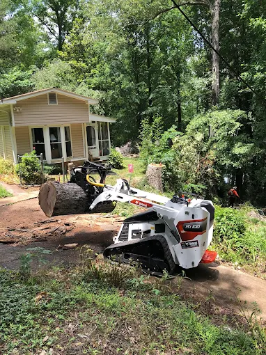 Tree Service in Alpharetta, GA Top-Rated Local Experts