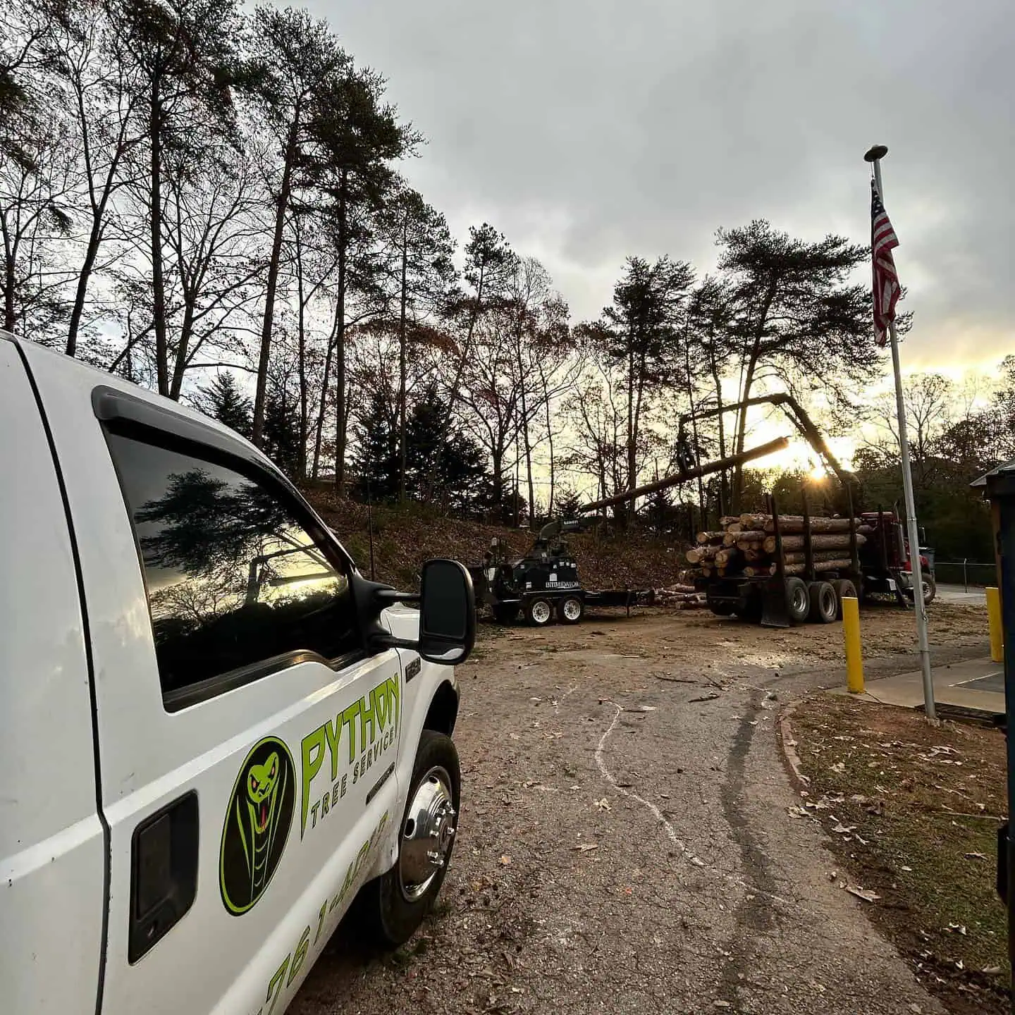 Professional Tree Service in Canton, GA Python Tree Service